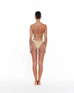 Cindy Bottom | Oyster