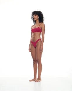 Alternative view of Desi Top | Pinot